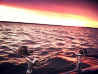 Short Cradle (Dipsy)